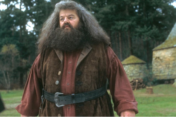 அதிர்ச்சி...ஹாரி பாட்டர் திரைப்பட நடிகர் காலமானார்! கதறும் திரையுலகம் | Harry Potter Films Actor Robbie Passes Away