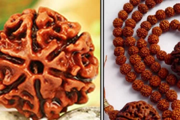 போலி ருத்ராட்சத்தை கண்டுபிடிப்பது எப்படி?