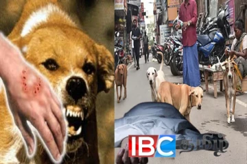 இலங்கையில் அச்சுறுத்தலாகும் விசர்நாய்க்கடி நோய் : பரிதாபமாக பறிபோன மனித உயிர்கள்