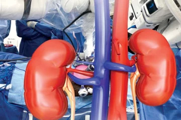 බොරැල්ලේ වකුගඩු ජාවාරමට සම්බන්ධ තවත් අයෙක් කොටුවෙයි.