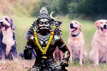 ஜோதிடம்: வீட்டில் நாய் வளர்ப்பவர்களா? இந்த விஷயங்களை தெரிந்து கொள்ளுங்கள்