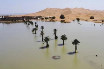 50 ஆண்டுகள் இல்லாத அதிசயம்.. உலகின் பெரிய பாலைவனத்தில் பெருக்கெடுத்து ஓடிய வெள்ளம்!