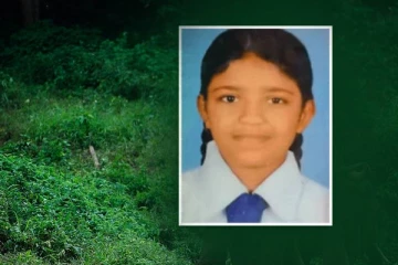 அண்ணன் இறந்து 14 நாட்கள்: காட்டு யானை தாக்கி தங்கை மரணம்