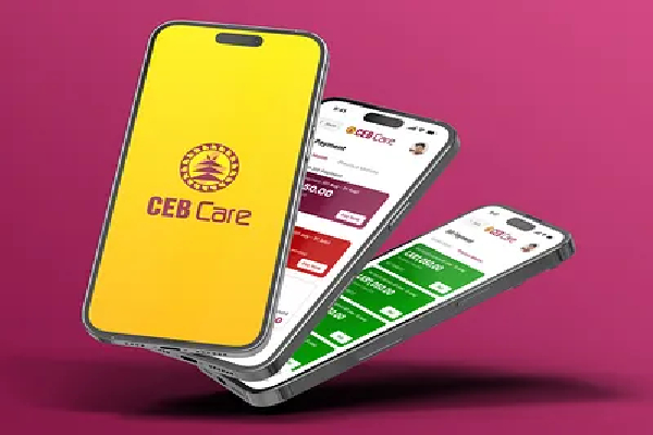 மோசமான வானிலை : மின்சாரசபை விடுத்துள்ள அறிவிப்பு | Public Urged To Use Ceb Care App To Report Outages