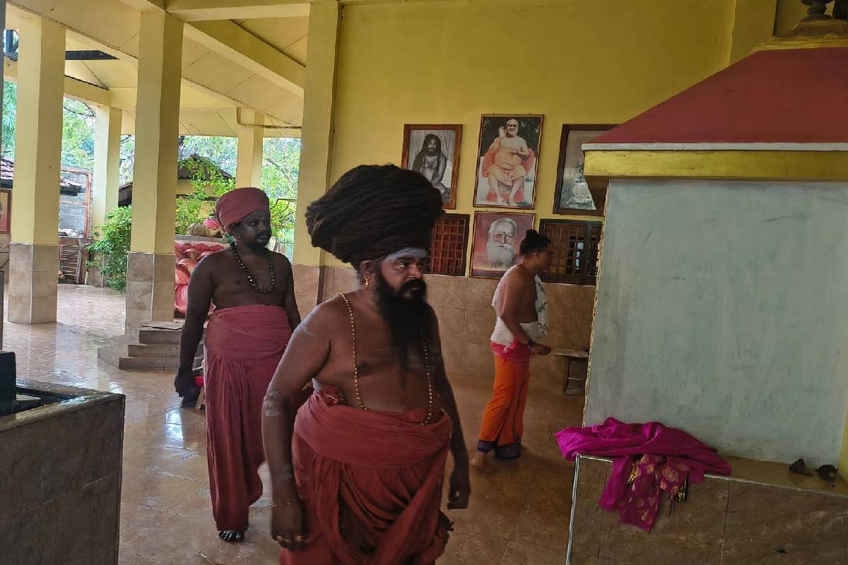 யாழில் புதிய மாற்றம் ; இந்தியாவிலிருந்து யாழ் வரை சைவ பட்டப்படிப்புகள் ஆரம்பம் | New Change In Jaffna Saiva Degree Courses India