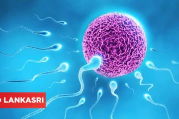 உங்கள் உயிரணுக்கள், கருமுட்டையை சேமிக்கலாம்!