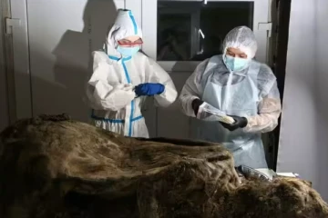 3500 வருட பழங்கால கரடி உடல் கண்டுபிடிப்பு! உறைந்து போன ஆராய்ச்சியாளர்கள்