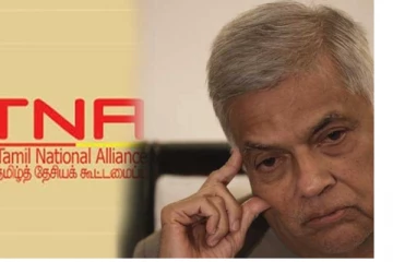 ජනපති රනිල් ට ටී එන් ඒ එකෙන් කළ බලපෑම මොකක්ද..?