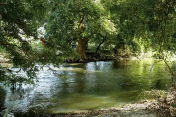 மல்வத்து ஓயாவில் வைத்தியசாலையின் மலம் மற்றும் சிறுநீர் ; மக்கள் விசனம்