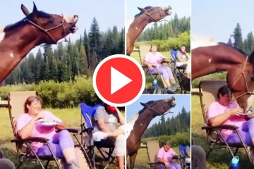 உங்கள் கவலைகளை மறக்கச் செய்யும் வீடியோ!! பார்த்து ரசியுங்கள்