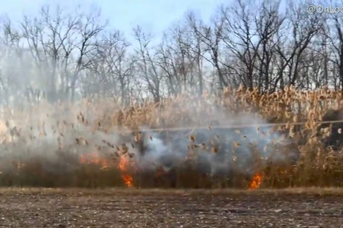 ஒன்டாரியோவில் தொடர் காட்டுத் தீ: கியூபெக் இளைஞர் கைது! | Quebec Man Charged With Setting Bush Fires ஒன்டாரியோவில் தொடர் காட்டுத் தீ: கியூபெக் இளைஞர் கைது! | Quebec Man Charged With Setting Bush Fires