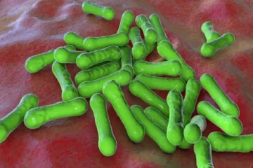 பிரித்தானிய பள்ளி ஒன்றில் பயங்கரமாக பரவும் பழங்கால நோய்த்தொற்று கண்டுபிடிப்பு: மருத்துவர்கள் எச்சரிக்கை