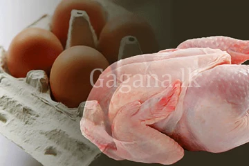 කුකුළු මස් මිල සහ බිත්තර මිල සීඝ්‍ර පහල යයි. - අඩු වූ නව මිල ගණන් මෙන්න.