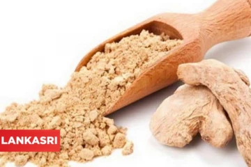 நோய்கள் தீர்க்கும் சுக்கு.... இத்தனை மருத்துவ பயன்களா?