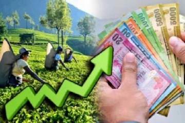 பெருந்தோட்ட தொழிலாளர்களுக்கு சம்பள அதிகரிப்பு தொடர்பில் வெளியானது வர்த்தமானி