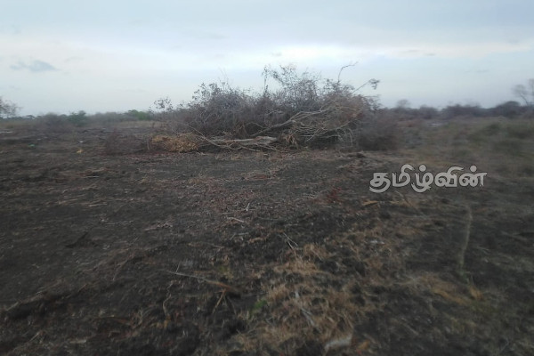 மன்னாரில் அரச காணிகளை துப்பரவு செய்த மர்ம நபர்கள்: பொலிஸார் மேற்கொண்ட நடவடிக்கை (photos) | Mannar Royal Land