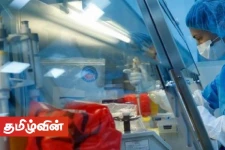 இலங்கைக்குள் கொரோனா தொற்றாளர்களின் எண்ணிக்கை மேலும் அதிகரிப்பு!