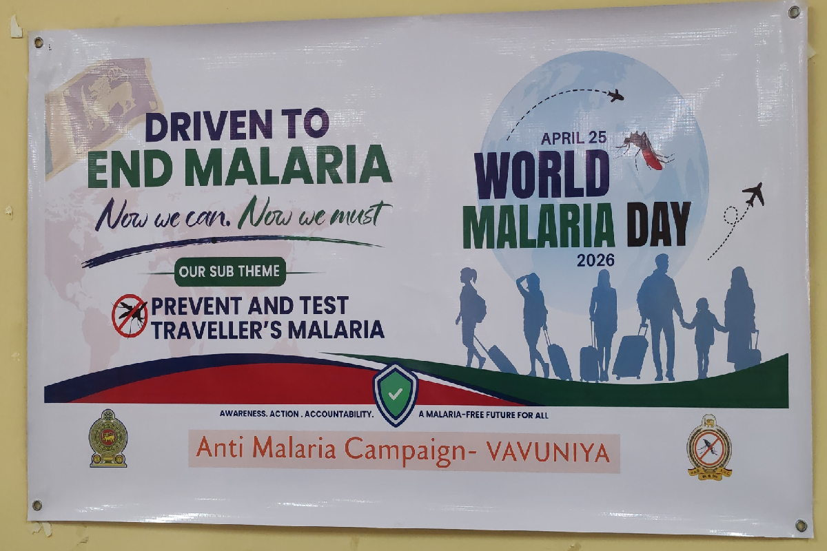 மீண்டும் தலையெடுக்கும் மலேரியா : வடக்கு மாகாணத்தில் ஒருவர் மரணம் | One Person Died Of Malaria Northern Province
