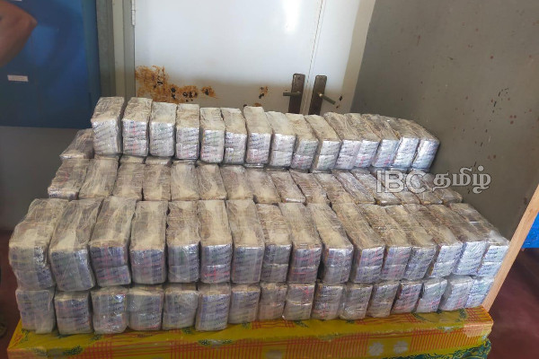 16 மில்லியன் ரூபாய் பெறுமதியான போதை மாத்திரைகள் மீட்பு | Drug Pills Recovered In Mannar
