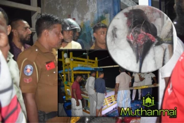 வாழைச்சேனை கடற்றொழிலாளியின் உயிரை பறித்த மீன்!