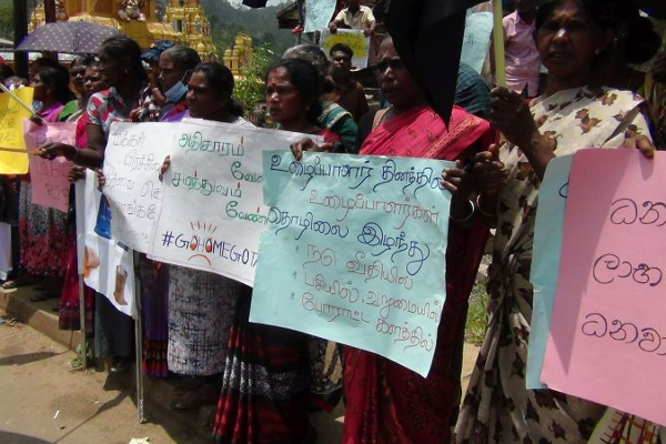 எதிர்காலத்தில் புல் மற்றும் புண்ணாக்கே இலங்கை மக்களுக்கு: கொட்டகலையில் போராட்டம் (Photos) | Grass And Boils For The People Of Sri Lanka Future