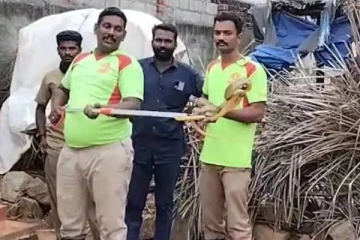 ஊருக்குள் அடுத்தடுத்து நுழையும் பாம்புகள்! ஒரே நாளில் 3 விஷ நாகம்... பீதியில் கிராம மக்கள்