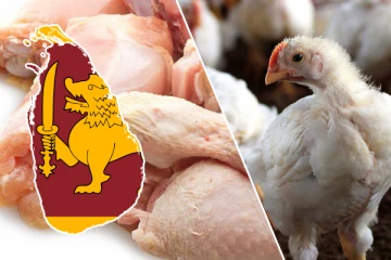இலங்கையில் கோழி இறைச்சி தொடர்பில் வெளியான அதிர்ச்சி தகவல்