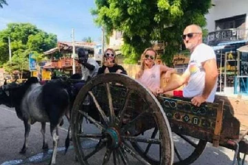 நெருக்கடி நிலையால் இலங்கையில் சுற்றுலாப்பயணிகளின் நிலை