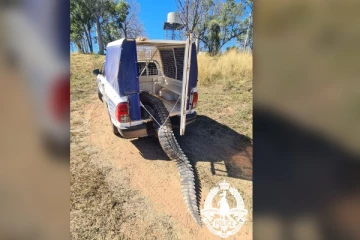 தொல்லை தந்த முதலையை கொன்று தின்ற மக்கள்