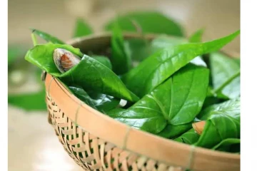 தீராத கடன் தொல்லையை தீர்க்கும் வெற்றிலை - செய்ய வேண்டிய பரிகாரம் என்ன?