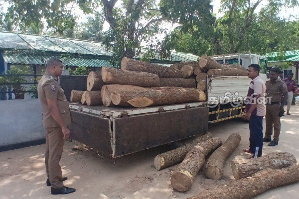 30 இலட்சம் ரூபாய் பெறுமதியான முதிரை மரக்குற்றிகள் தர்மபுரம் பொலிஸாரால் மீட்பு | Dharmapuram Police Recovers 30 Lakh Fake Timber 30 இலட்சம் ரூபாய் பெறுமதியான முதிரை மரக்குற்றிகள் தர்மபுரம் பொலிஸாரால் மீட்பு | Dharmapuram Police Recovers 30 Lakh Fake Timber