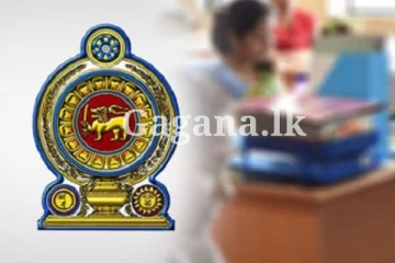 මෙරට රාජ්‍ය අංශය ගැන ගත්ත විශේෂ තීරණය - සුබ ආරංචියක් මෙන්න..