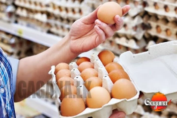 බිත්තර මිල යළි පහලට