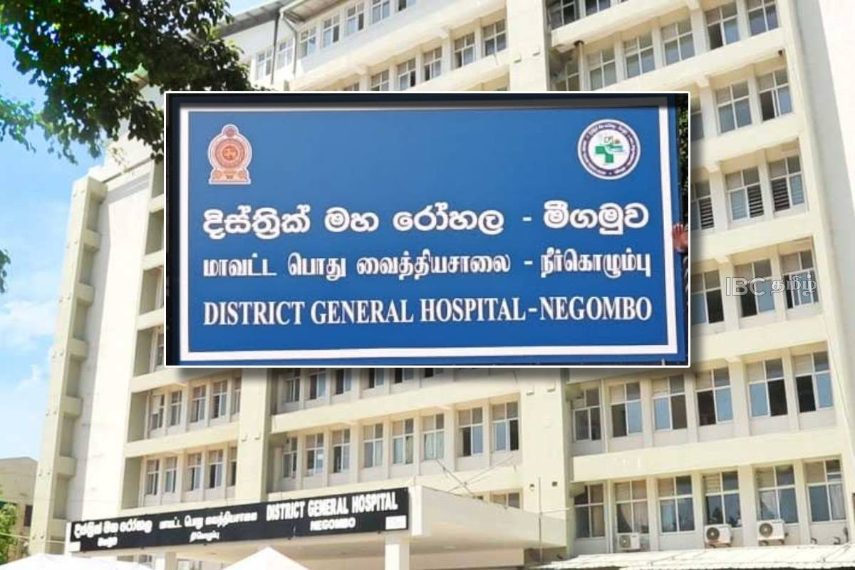 காவல்துறை அதிகாரி மீது துப்பாக்கிச்சூடு : சந்தேகநபர் தொடர்பில் வெளியான தகவல் | Information Of Suspect Who Shot A Police Officer காவல்துறை அதிகாரி மீது துப்பாக்கிச்சூடு : சந்தேகநபர் தொடர்பில் வெளியான தகவல் | Information Of Suspect Who Shot A Police Officer