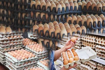 விரைவில் முட்டைக்கு புதிய விலை நிர்ணயம்