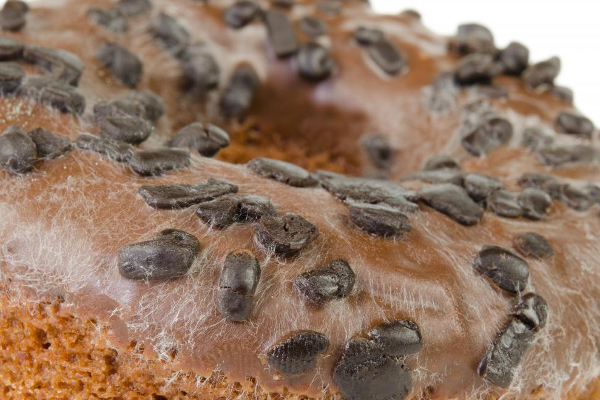 பூஞ்சை படிந்த பிரட் சாப்பிட்டால் என்ன நடக்கும் தெரியுமா? உயிருக்கே ஆபத்து! | Health Health Affects Of Eating Spoiled Bread