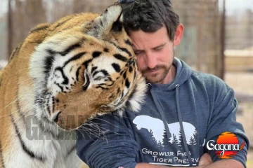 ආදරෙන් ඇති දැඩි කළ කොටියාම පවුලේ අය ඉදිරියේ ස්වාමියාගේ ඇඟට පැනලා මරලා