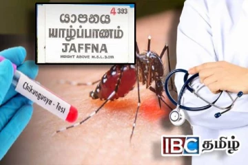 யாழில் சிக்குன்குனியா அபாயம் : விடுக்கப்பட்டுள்ள எச்சரிக்கை