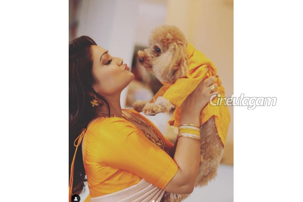 ரோஜா சீரியல் புகழ் நடிகை பிரியங்கா நல்காரி வைத்திருக்கும் நாயின் விலை இவ்வளவா? | Roja Serial Actress Priyanka Nalkari Photo ரோஜா சீரியல் புகழ் நடிகை பிரியங்கா நல்காரி வைத்திருக்கும் நாயின் விலை இவ்வளவா? | Roja Serial Actress Priyanka Nalkari Photo