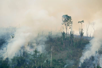 ගිනිදැල්වලට බිලි වූ සූරියගල රක්ෂිතය - අක්කර ගණනාවක් අළු කරමින් සිදුවූ දැවැන්ත හානිය