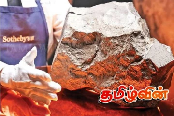 இன்னும் இரண்டு நாட்களில் ஏலத்திற்கு வரவுள்ள விசித்திர பொருட்கள்!