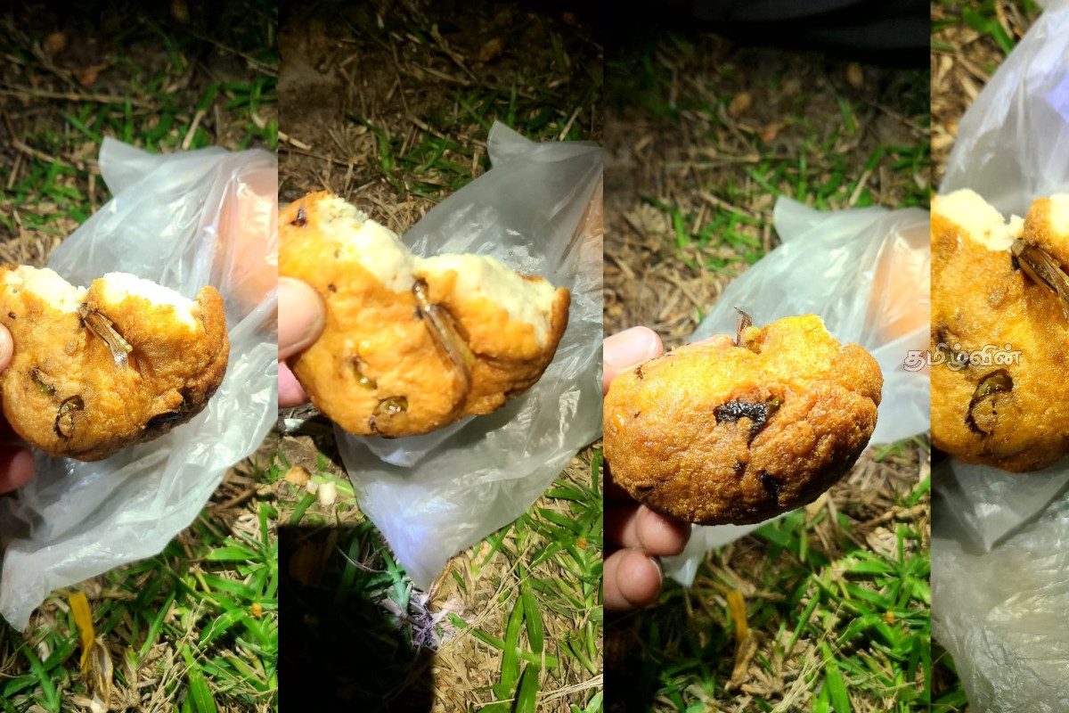 மன்னாரில் பிரபல உணவகத்தில் வாங்கிய வடையில் வெட்டுக்கிளி..! | Grasshopper Found In Vadai In Mannar
