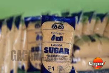 දේශීය සීනි සමාගම කොටඋඩ. මෙට්‍රික් ටොන් 35,000 ක් තවම ගබඩාවේ
