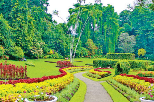 இலங்கைக்கு கிடைக்கப்பெற்ற பெருந்தொகை வருமானம் | Botanical Garden Revenue Rs 1 Billion In 2025