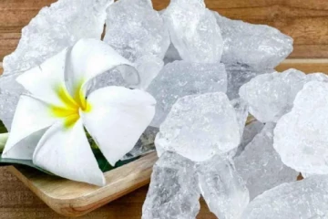 வீட்டில் பண மழை பொழியும், இந்த வெள்ளைப் பொருளை பத்திரமாக வைத்தால் போதும்.