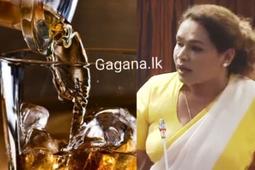 ගල් අරක්කු මිල වහාම අඩු වෙන්න යයි. .. ඇමති ඩයනා ජනපතිගෙන් කළ ඉල්ලීම....