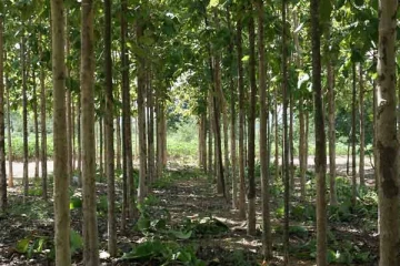 கைகலப்பில் பறிபோன உயிர்; குடிசையில் நடந்த விபரீதம்