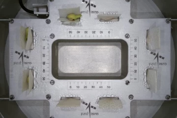 விண்ணில் முளைத்த காராமணி விதைகள்! இஸ்ரோவின் புதிய விண்வெளி சாதனை