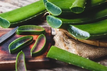 சரும பிரச்சனைகளை சரி செய்யும் கற்றாழை... இப்படி பயன்படுத்தி பாருங்க பெண்களே!