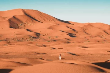 உலகிலேயே மிகப்பெரிய பாலைவனம் சஹாரா அல்ல.., Google கூறிய மற்றொரு இடம்